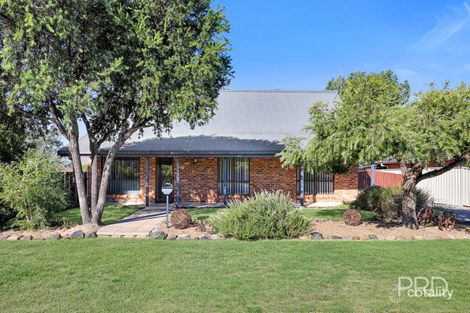 19 Nowland Cres, Westdale, NSW 2340