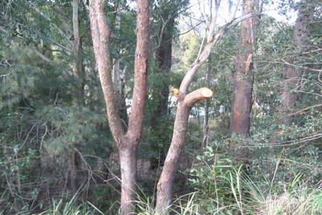 239 Terrigal Dr, Terrigal, NSW 2260