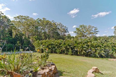 Property photo of 23 Bushbird Court Diddillibah QLD 4559