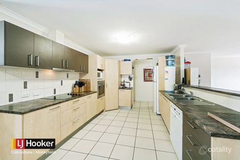 Property photo of 3 Shields Court Morayfield QLD 4506