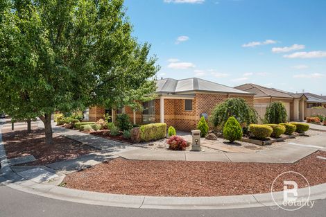 Property photo of 5 Grantham Terrace Kangaroo Flat VIC 3555