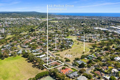 Property photo of 12 Padua Drive Mornington VIC 3931