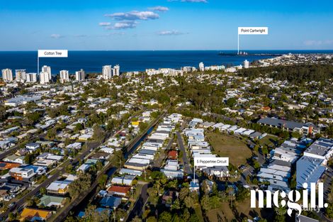 Property photo of 5 Pepper Tree Circuit Maroochydore QLD 4558