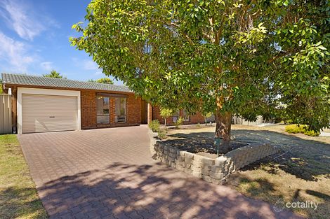 14 Roclin Ave, Newton, SA 5074