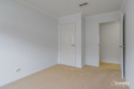 Property photo of 38 Strelitz View Beeliar WA 6164