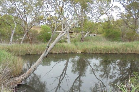 335 Schwertie Rd, Black Hill, SA 5353