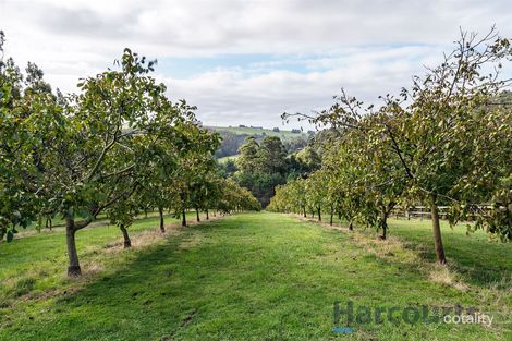 Property photo of 670 Ironcliffe Road Penguin TAS 7316