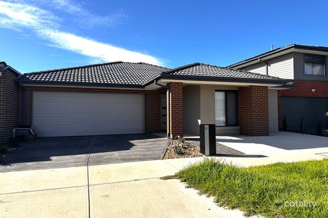 11 Cordiller St, Clyde North, VIC 3978