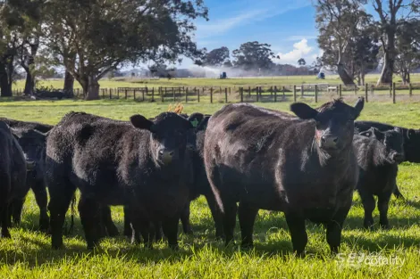 596 Settlement Rd, Kilmany, VIC 3851