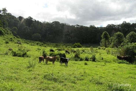 195-275 Kaiser Rd, Tamborine Mountain, QLD 4272