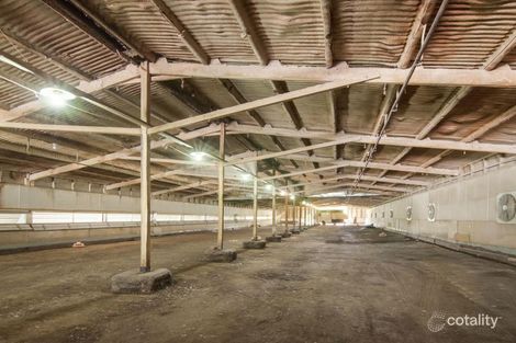 Property photo of 12 Seaview Road Tyabb VIC 3913