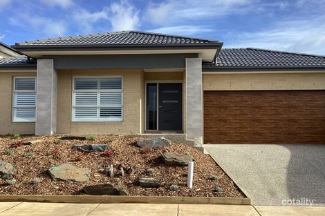 31 Poa St, Torquay, VIC 3228