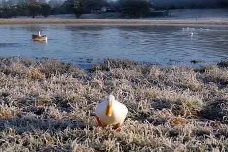 309 Exeter Rd, Sutton Forest, NSW 2577