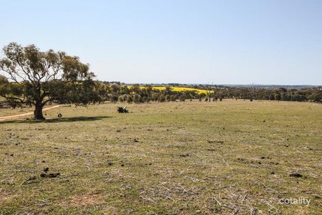 Property photo of 23 Warks Road Young NSW 2594