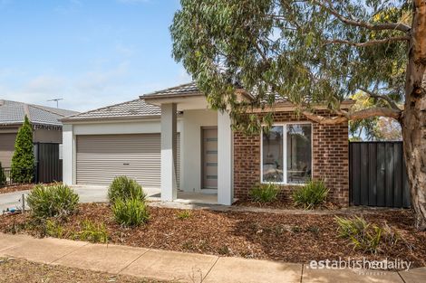 61 Brownlow Dr, Point Cook, VIC 3030