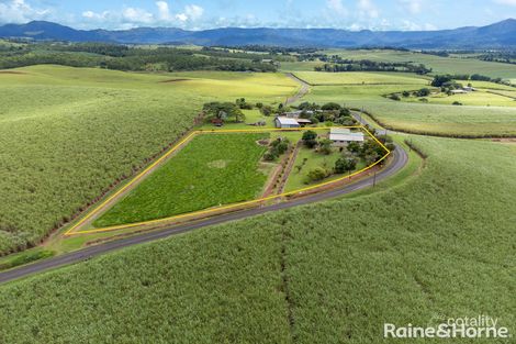 Property photo of 183 Nerada Road Nerada QLD 4860