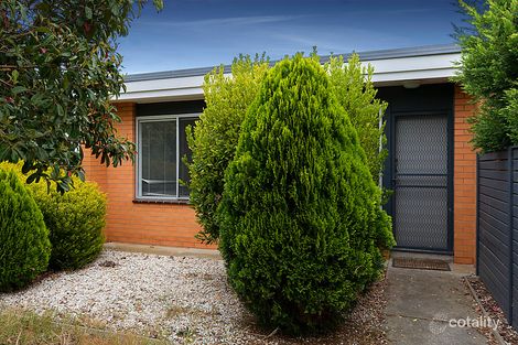 Property photo of 1/1 Willana Avenue Hamlyn Heights VIC 3215