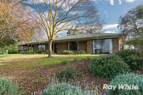 Property photo of 17 Wolf Avenue Strathalbyn SA 5255