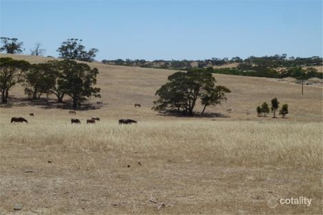 Property photo of 53 Mintern Road Auburn SA 5451
