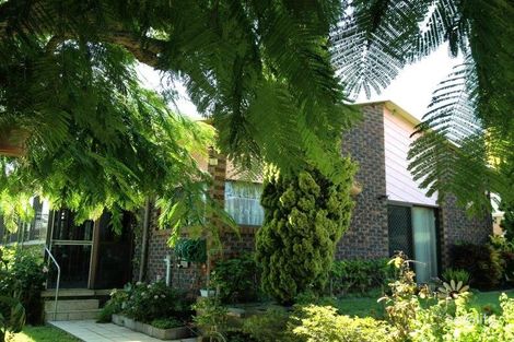 Property photo of 59 Macdonald Street Lota QLD 4179