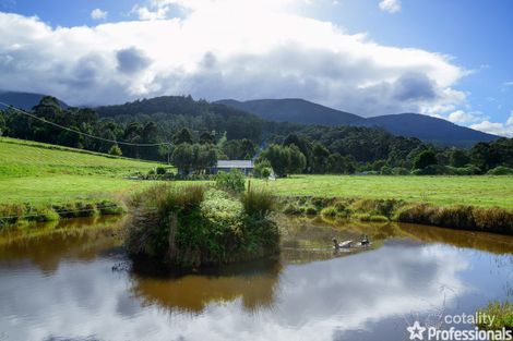 Property photo of 15 Sherriff Close Millgrove VIC 3799