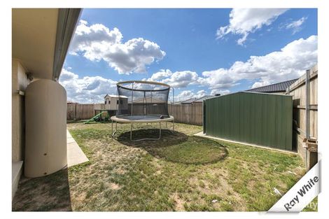 Property photo of 144 Macfarlane Burnet Avenue Macgregor ACT 2615