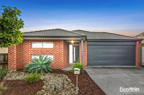 19 Seagrass St, Leopold, VIC 3224