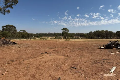 Property photo of 63 Cortesi Road Bealiba VIC 3475