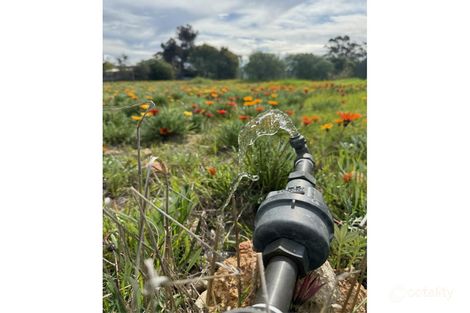 50 Urban St, Wagin, WA 6315