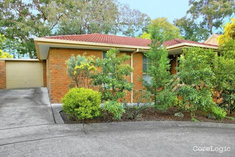 Property photo of 6/35 Middlefield Drive Blackburn North VIC 3130