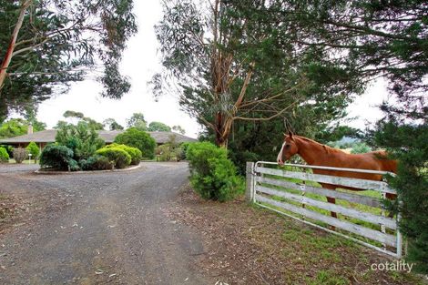 Property photo of 15 Nicholsons Road Toongabbie VIC 3856