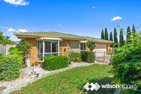 Property photo of 11 Connaught Way Traralgon VIC 3844