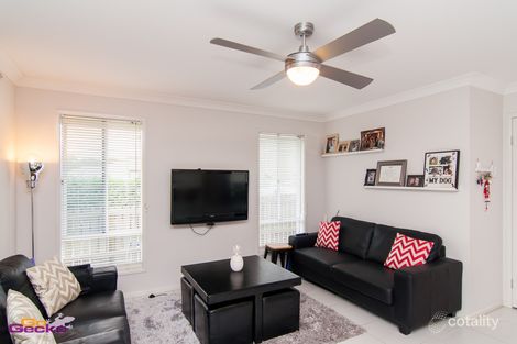 Property photo of 60 Hayden Street Nudgee QLD 4014