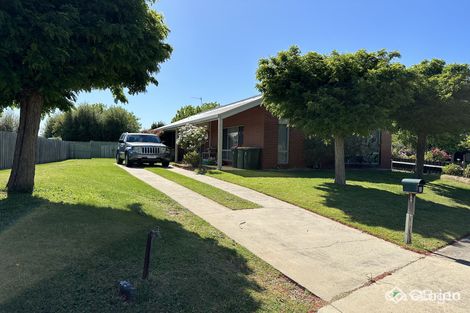 Property photo of 7 Bluff Court Eastwood VIC 3875