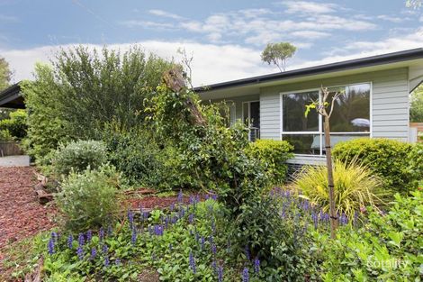 Property photo of 37 Valley Drive Rye VIC 3941