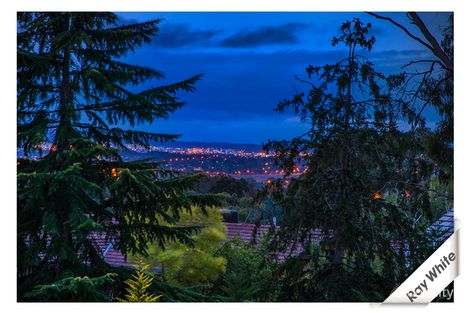 Property photo of 23 Packer Street Weetangera ACT 2614