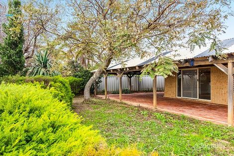 Property photo of 19 Trephina Mews Clarkson WA 6030