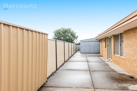 Property photo of 19 Trephina Mews Clarkson WA 6030