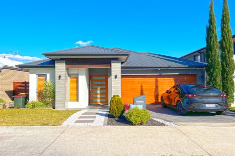 Property photo of 18 Fanflower Avenue Denham Court NSW 2565