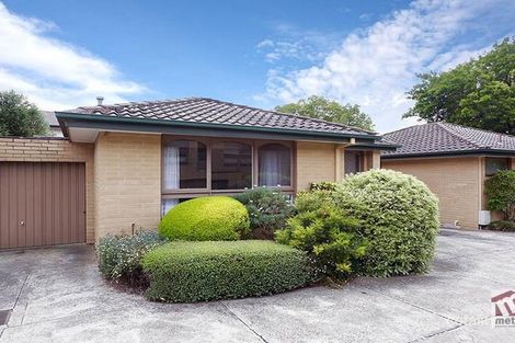 6 Essex Rd, Surrey Hills, VIC 3127