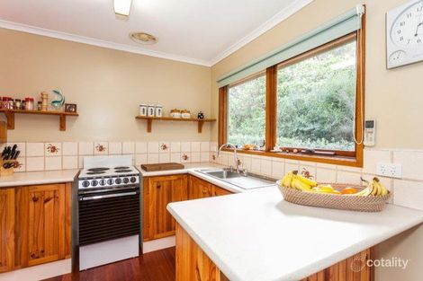 Property photo of 6 Bogie Court Anglesea VIC 3230