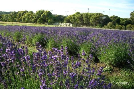 Property photo of 18 Bruce Street Balnarring VIC 3926