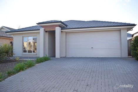 9 Borrillo Ave, Newton, SA 5074