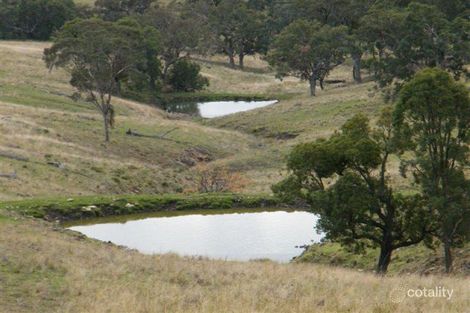 Property photo of 548 Big Jacks Creek Road Big Jacks Creek NSW 2339