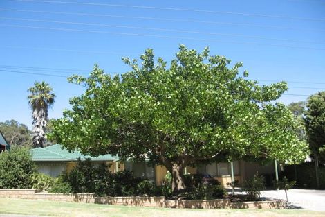 77 Waitara Rd, Banksia Park, SA 5091