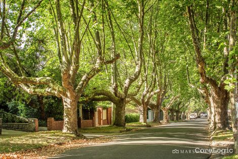 Property photo of 75 Empress Road Surrey Hills VIC 3127