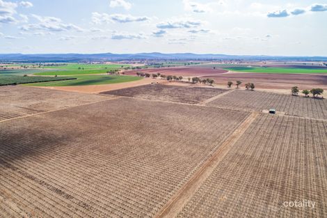 287 Mount Lewis Rd, Canowindra, NSW 2804