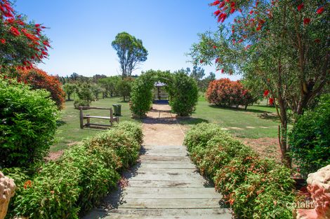 Property photo of 169 Winders Lane Lochinvar NSW 2321