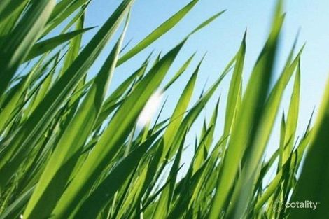 474 Gainsborough Dr, Pimpama, QLD 4209