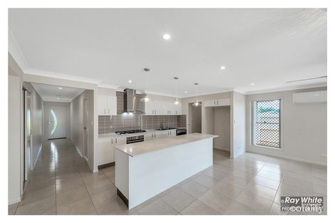 Property photo of 7 Bantry Street Parkhurst QLD 4702